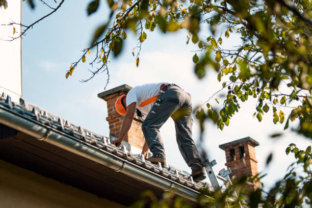 Best Gutter Installation and Roofing  in Fort Carson, CO