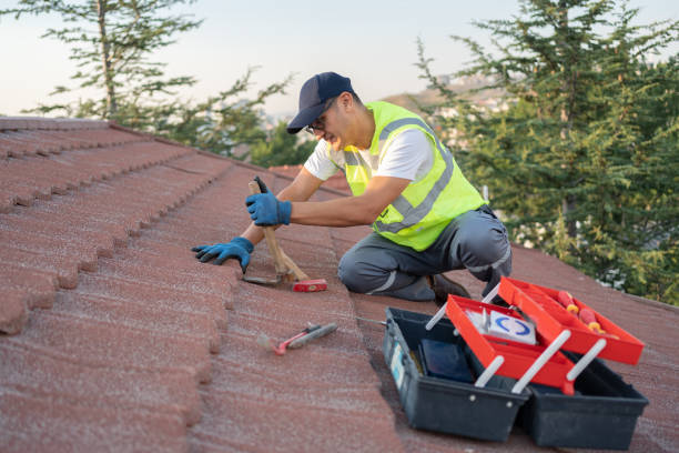 Best Roof Gutter Cleaning  in Fort Carson, CO